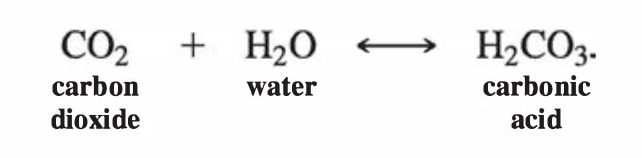 carbon-dioxide-water-rain.png