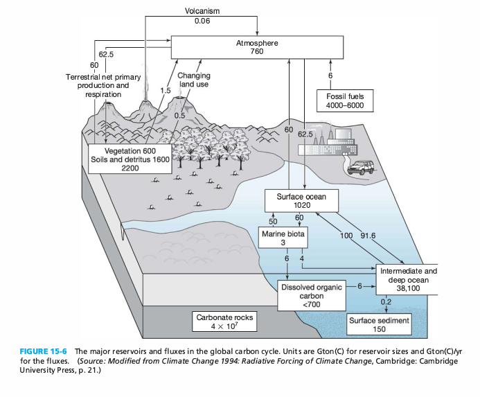 carbon-fluxes-with-caption.png