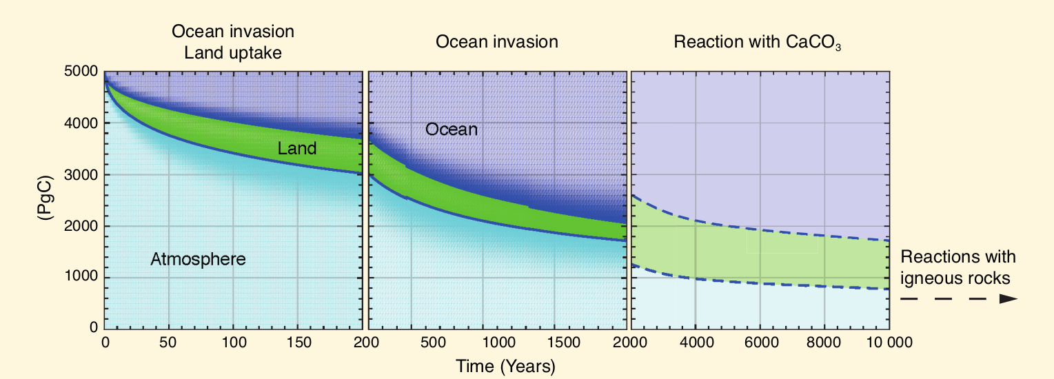 carbon-partition-over-time.png
