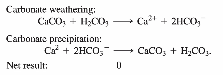 carbonate-carbonate.png