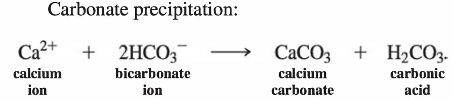 carbonate-precipitation-formula.png