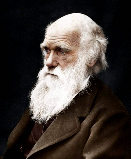 darwin.png