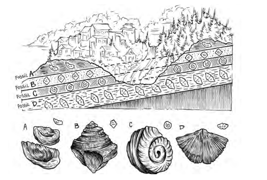 fossils.png
