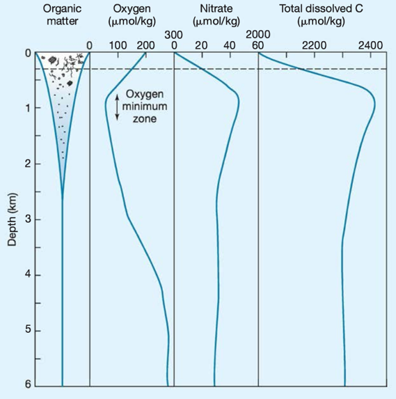 graphs-ocean.png