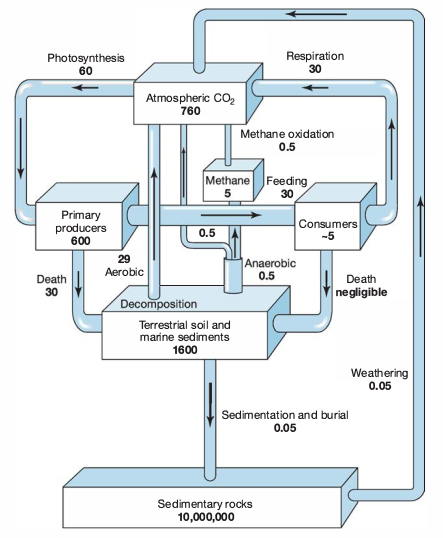 organic-carbon.png