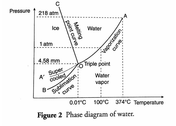 phase-diagram-good.png