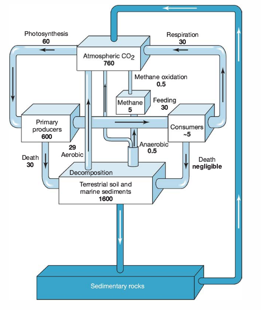 short-term-organic-carbon_real.png