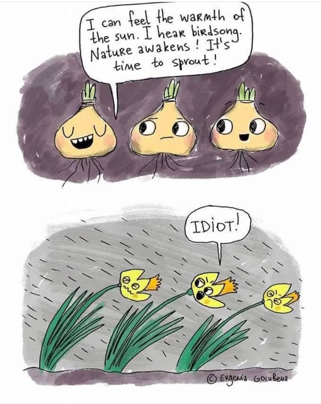 spring-onions.jpeg